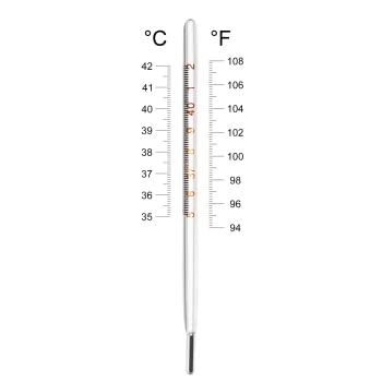 Glass Oral Temperature Measurement Classic Digital Temperature Measurement Accurate Temperature Measurements for Families