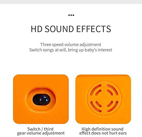 Animal Park Interactive Pop Up Music Toy,Up- Early Education Activity Center Toy, Ages 7 8 9 10 11 12 Months and up Infant Toddlers Toys.