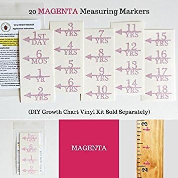 Little Acorns ADD ON - DIY Vinyl Growth Chart Ruler - Height Marker Arrows ONLY