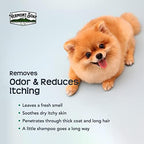 VERMONT SOAP Organics Pet Shampoo - Infused with Organic & Natural Olive Oil, Coconut & Aloe Vera Dog Shampoo for Sensitive Skin - USDA Certified Grooming Pet Shampoo - Original Citrus (64oz)