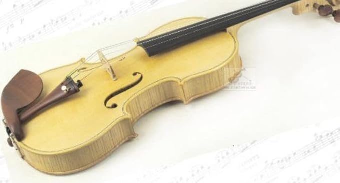 "Blonde" D Z Strad Violin – Gasparo da Salo 1590, “Adam” Copy (Limited Edition) Concert Violin 4/4 Full Size Handmade with Dominant Strings, Case, Bow, Shoulder Rest and Rosin