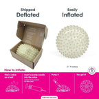 Edushape Sensory Ball for Baby - 7" Glow-in-The-Dark Color Ball Helps Enhance Gross Motor Skills for Kids 6 Months & Up