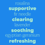 Plant Therapy KidSafe Sneezy Stop Essential Oil Blend 10 mL (1/3 oz) 100% Pure, Undiluted, Therapeutic Grade