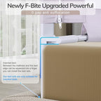 omzer Bed Rail for Toddlers - Toddler Bed Rails with Double Child Lock - Bed Rail for Baby Kids with Pattern - Height Adjustment Guard Rails for Twin Size Bed - 3 Pack, 39x75x75”