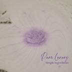 EvolutionUSA Lavender Dreams Bath Bombs for Women, 12 Organic Flower Bath Bombs, Soft Lavender Bath Bombs, Womens Bath Bombs Gift, Lush Bath Bombs for Girls, Relaxing Bathbombs, Bath Balls