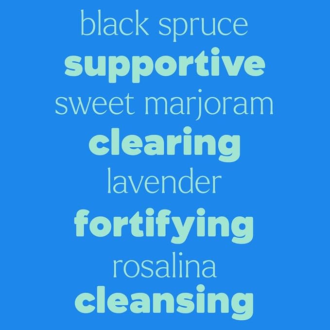 Plant Therapy KidSafe Destroyer Essential Oil Blend - Support Blend for Kids 100% Pure, Undiluted, Natural Aromatherapy, Therapeutic Grade 10 mL (1/3 oz)