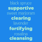 Plant Therapy KidSafe Destroyer Essential Oil Blend - Support Blend for Kids 100% Pure, Undiluted, Natural Aromatherapy, Therapeutic Grade 10 mL (1/3 oz)