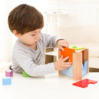 Shape Discovery Plug-in Box | Beech Wooden Shape Sorter Toy with 6 Puzzles | Montessori Learning for Toddlers 18+ Months