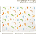 Dinosaur Baby Blankets for Boys, Soft Nursery Minky Blankets with Muslin and Dotted Fleece Back 30x40 inches, Receiving Bed Quilt for Newborn, Infants, Toddlers