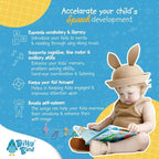 Ditty Bird Animal Songs Book for Toddlers – Interactive Sound Book with Baby Shark & More | Musical Board Book for 1-3 Year Olds | Fun, Realistic Animal Sounds | Sturdy Sensory Book for Baby