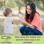 Boogie Antibacterial Hand Wipes, Alcohol Free, Hypoallergenic and Moisturizing Aloe, For Kids and Adults - 30 Wipes (Pack of 2)