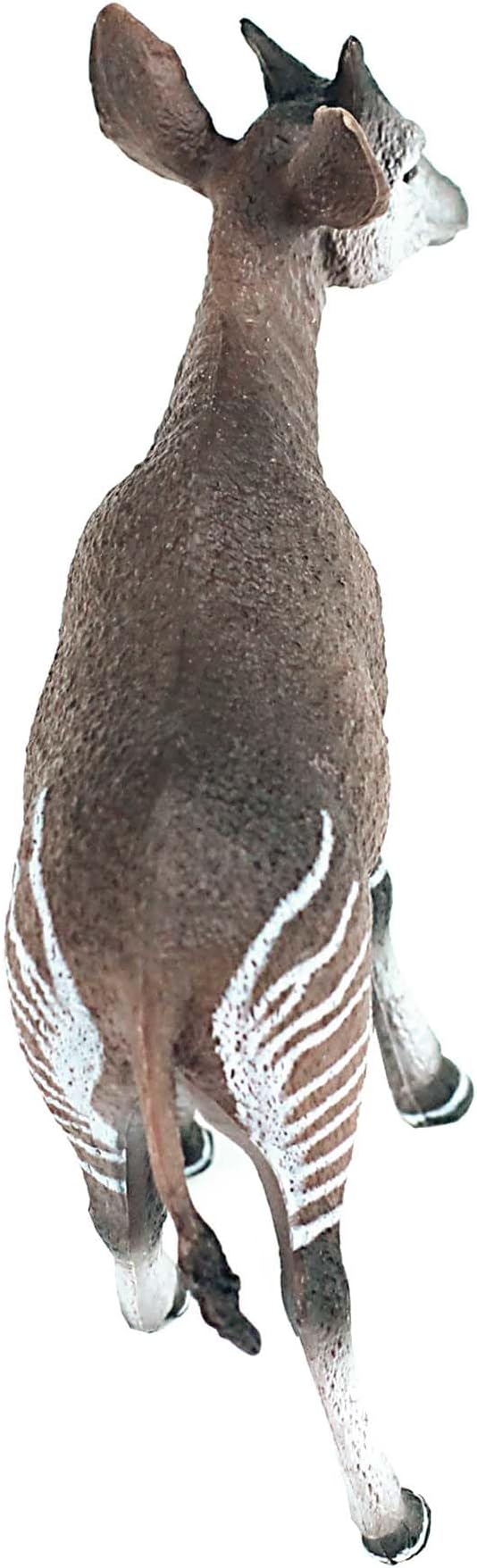 FUNSHOWCASE African Jungle Animals Male Okapi Toy Figure Realistic Plastic Figurine Height 3.5-inch