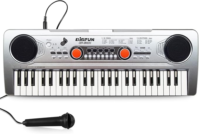 Raimy Piano Keyboard for Kids 49 Keys Portable Keyboard Piano Early Learning Educational Electronic Musical Instrument Toys Gifts for 3 4 5 6 7 8 9 Year Old Boys and Girls (Silver)