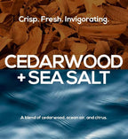 MARLOWE. No. 103 Body Wash 15 oz Pump, Cedarwood + Sea Salt, Energizing & Refreshing Shower Gel, Willow Bark & Green Tea Extracts, Cleanses, Moisturizes, Smooths & Nourishes, Fresh & Zesty Scent