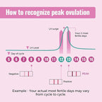 20 Packs LH Ovulation Test Strips Easy to Use Ovulation Tracker Kit Accurate Fertility Tracking for Women Quick Results at Home Use