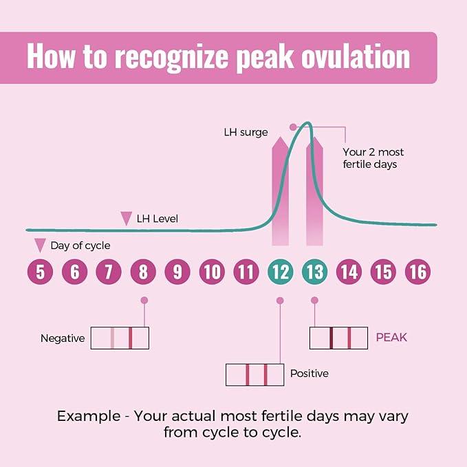 20 Packs LH Ovulation Test Strips Easy to Use Ovulation Tracker Kit Accurate Fertility Tracking for Women Quick Results at Home Use