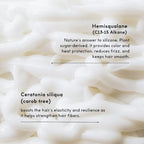 SEEN Travel Trio - Scented - Non-Comedogenic & Sulfate-Free Blow-Out Hair Cream, Shampoo & Conditioner Set- Reduces Frizz- Heat Protectant- Safe for Sensitive & Acne Prone Skin