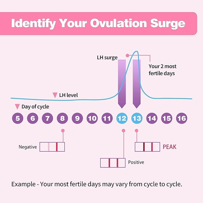 40 Count Ovulation Test Strips with Cups, Bulk Ovulation Test Strips for Women, Ovulation Predictor Kit, Accurate Fertility Tests for Home, Individually Wrapped 5mm LH
