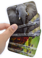 Menique Wild Animals Memory Matching Game – Spanish Edition – 80 Cards (40 Pairs) with Real Photos – Educational Game in Spanish for Kids and Adults – Includes Booklet