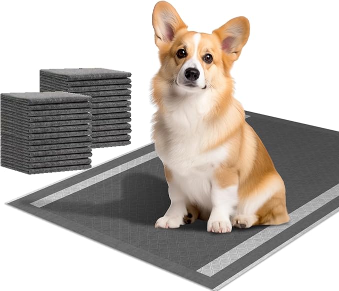 Dog and Puppy Pee Pads 100 Count, 23'' x 23'' Charcoal Dog Pee Pads, Leak-Proof Quick-Dry Strong Absorbency for Potty Training