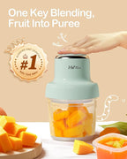 HEYVALUE Baby Food Maker, 13-in-1 Baby Food Puree Blender, Fruit, Vegatable, Meat, with Food Containers, Baby Food Processor Freezer Tray, Silicone Spoons, Silicone Spatula(Light Green)