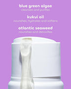 Seaweed Bath Co. Hydrate Body Wash - Lavender | Hydrating Foaming Cleanser with Soothing Natural Ingredients | Vegan, Paraben and Sulfate Free Shower Gel for Men and Women | 12 oz (Pack of 2)