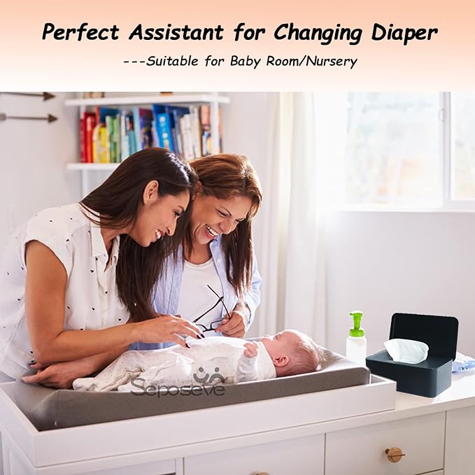 Seposeve 2 Pack Wipes Dispenser, Wipe Holder for Baby & Adult, Refillable Wipe Container, Keeps Wipes Fresh, Far from Dirty Wipes, Easy to Open/Close Wipes Pouch Case. (2 Black)