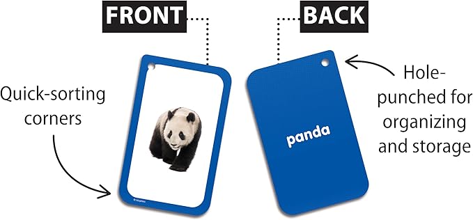 Teacher Created Resources Categories Flash Cards (EP62079)