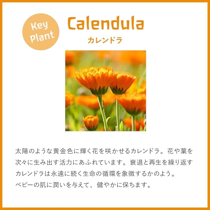 Weleda Karen Dora Baby Wash & Shampoo (whole-body cleanser) 200ml