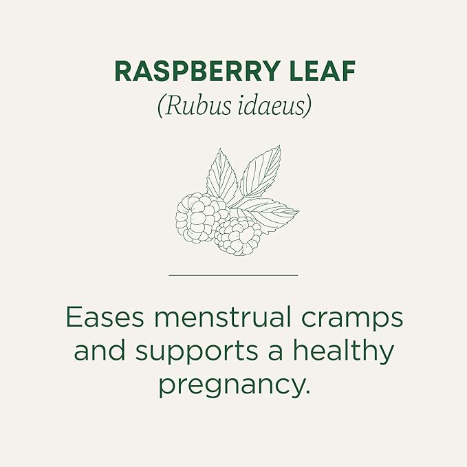 Traditional Medicinals Organic Raspberry Leaf Tea, Supports Healthy Pregnancy and Soothes Menstrual Cramps, (Pack of 6) - 96 Tea Bags Total