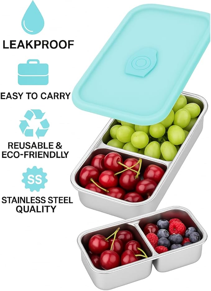 2 Pack Stainless Steel Snack Containers – Leakproof Reusable Bento Boxes with Lids for Food Storage, Travel, Work, Outdoor (Clear Lid/Silver Base, 1+2 Mixed)