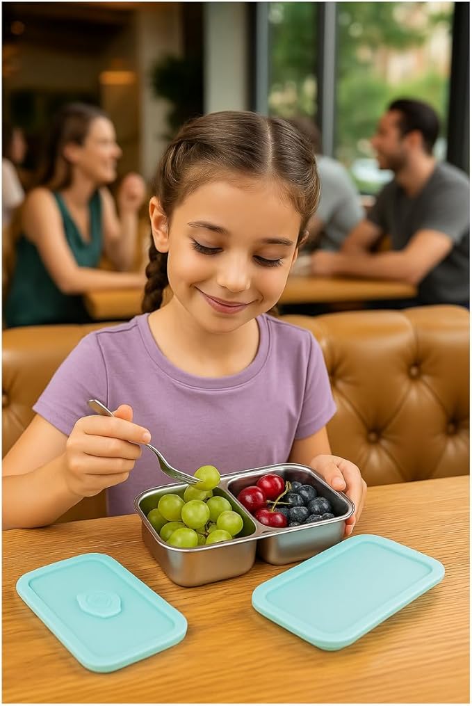 2 Pack Stainless Steel Snack Containers – Leakproof Reusable Bento Boxes with Lids for Food Storage, Travel, Work, Outdoor (Clear Lid/Silver Base, 1+2 Mixed)