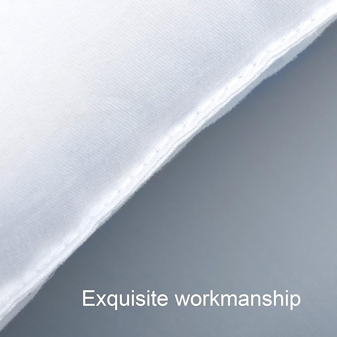 NTBAY 2 Pack Cotton Down Alternative 13x18 Pillows, Machine Washable - Soft and Breathable Travel Small Pillows for Sleeping, Ideal for Daycare, Crib, Cot