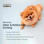 VERMONT SOAP Organics Pet Shampoo - Infused with Organic & Natural Olive Oil, Coconut & Aloe Vera Dog Shampoo for Sensitive Skin - USDA Certified Grooming Pet Shampoo - Blueberry (16oz)