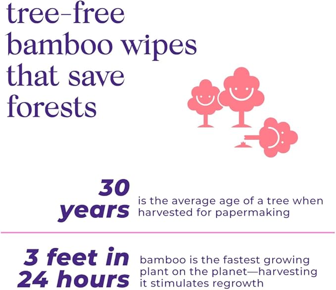 Bim Bam Boo | Flushable Wet Wipes | 100% Plant Based | Extra-Large Size Durable Bamboo | Body Safe, Smooth on Skin, Hypoallergenic | 42 Wipes Per Pouch - 8 Pouches | 366 Total Wipes