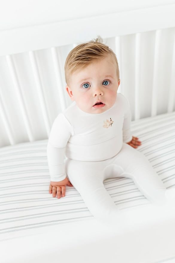 Ely's & Co. Crib Bedding Set for Boys, Toddler Bedding Set, 5 Piece Set - 2 Fitted Crib Sheets/Toddler Bed Sheets, Quilted Comforter and Decorative Pillow with Insert, Dragonfly + Stripe Collection