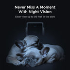 Petcube Cam The Pack of 2 | Indoor Wi-Fi Pet Security Camera with Phone App, 2-Way Audio and Video, Night Vision, 1080p HD Video and Smart Alerts