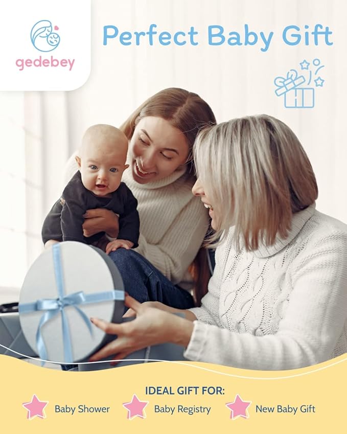 Baby Food Feeder/Fruit Feeder Pacifier Nibbler (2 Pack) - Infant Teething Toys | Silicone Feeder Baby | Mesh teethers for Babies | Baby Feeding Essentials | Frozen Breastmilk Teether (Blue&Pink)