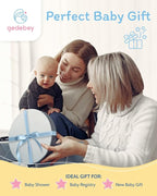 Baby Food Feeder/Fruit Feeder Pacifier Nibbler (2 Pack) - Infant Teething Toys | Silicone Feeder Baby | Mesh teethers for Babies | Baby Feeding Essentials | Frozen Breastmilk Teether (Blue&Pink)