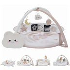 6-in-1 XL Play Mat & Play Gym, Baby Gym, Baby Activity Gym, Sensory Exploration and Motor Skill Development Toys (Blush)