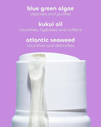 Seaweed Bath Co. Hydrate Body Wash - Lavender - Hydrating Foaming Cleanser with Soothing Natural Ingredients - Vegan, Paraben and Sulfate Free Shower Gel for Men and Women - 12 oz