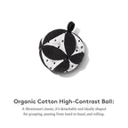 LOVEVERY | The Play Gym | Award Winning For Baby , Stage-Based Developmental Activity Gym & Play Mat for Baby to Toddler