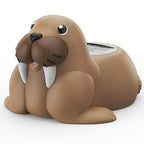 Baby Bath Thermometer for Bathtub, Room|Water Temperature, Baby Bath Floating Toy|Kids Bathroom Safety, Digital LCD with Timer