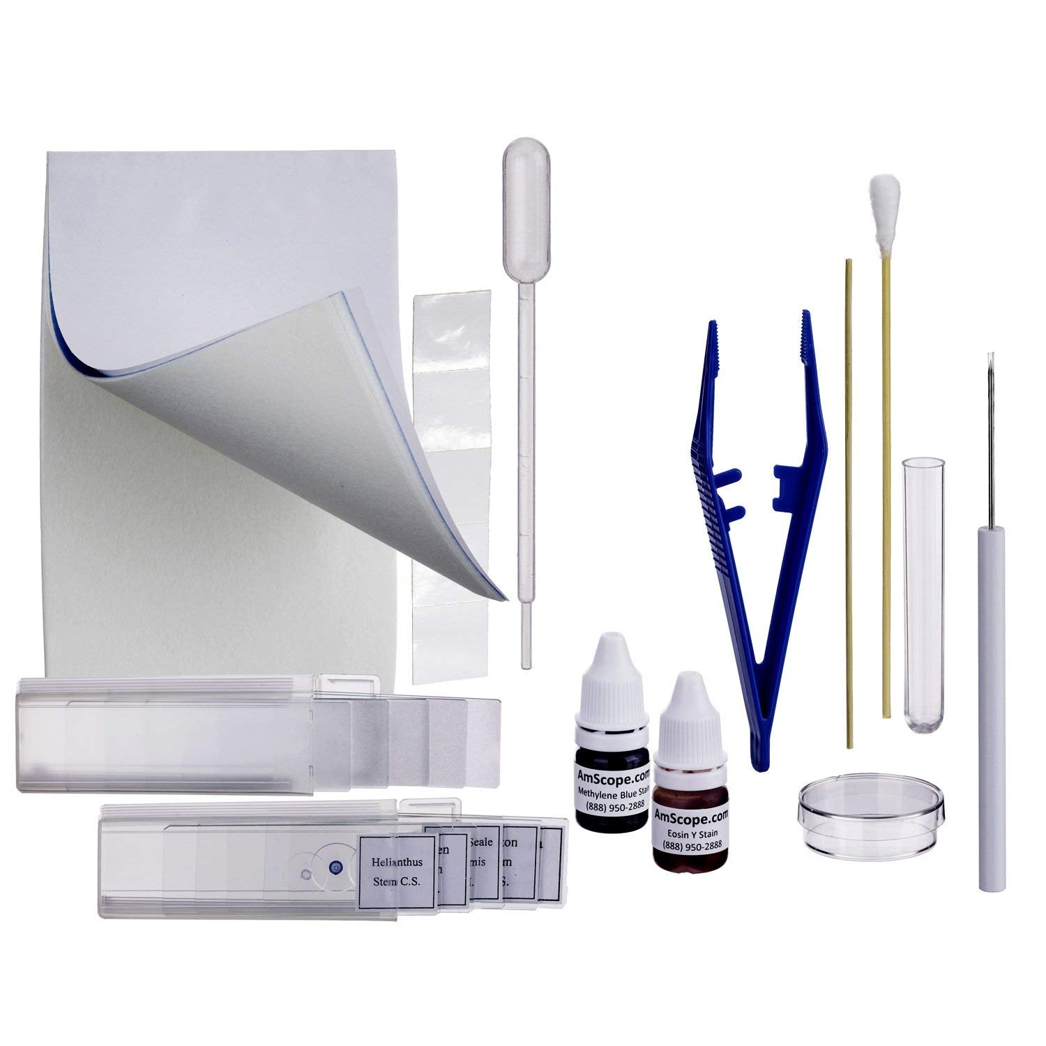 AmScope - 40X-1000X Biology Science Metal Glass Student Microscope with USB Digital Camera + Slide Preparation Kit - M158C-SP14-E