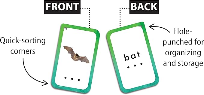 Teacher Created Resources Decoding CVC Words Flash Cards (EP62057), Medium