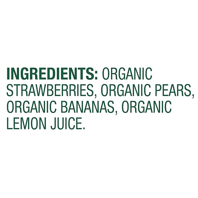 Sprout Strawberry Pear Banana Organic Baby Food 3.5 oz Pack of 12