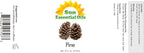 Sun Essential Oils – Pine Essential Oil 16 oz Bulk for Diffuser, Skin, Aromatherapy Massage, Humidifier, Forest Pine Scented Oil for Candle, Lotion & Soap Making, Room Fragrance
