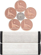 Dowling Magnets Magic Penny Magnet Kit - Hours of Unplugged Play - A Gift for Curious Minds