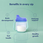 Kabrita Goat Milk Toddler Nutrition, 12-24 Months - Easy to Digest, Contains Vitamin D, Calcium, Iron, DHA, Non-GMO - Gentle on Sensitive Tummies - Supports Gut Health & Sleep - 28oz (Pack of 6)