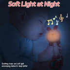Baby Music Rattle, Teething Toys for Infants 6-12-18 Months Toddlers, Light-Up & Chew Sensory Toys for Baby Boy Girl Gifts (Rabbit)